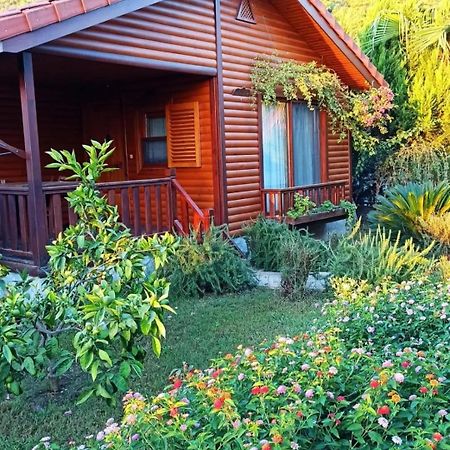 Leontopolis Apart Otel Çıralı Eksteriør billede