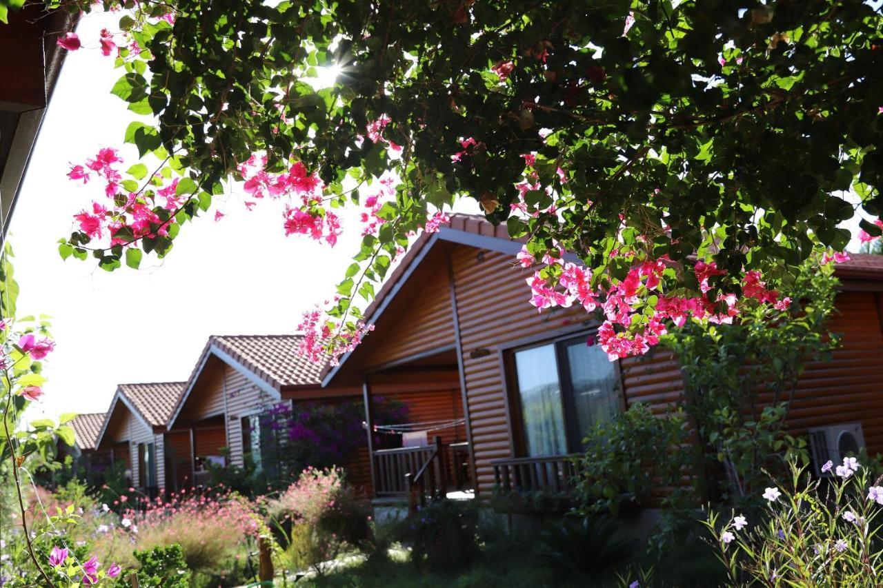 Leontopolis Apart Otel Çıralı Eksteriør billede