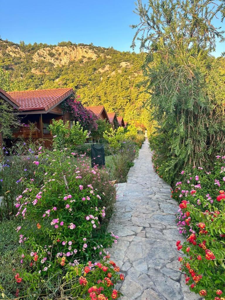 Leontopolis Apart Otel Çıralı Eksteriør billede