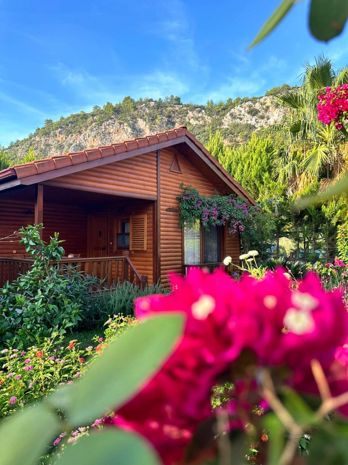 Leontopolis Apart Otel Çıralı Eksteriør billede