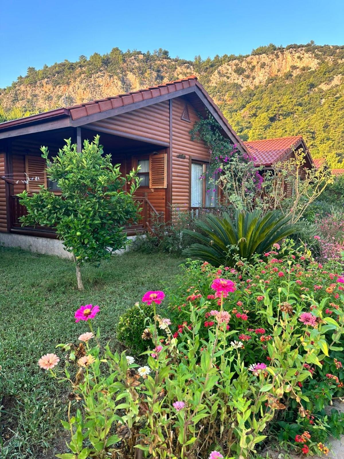 Leontopolis Apart Otel Çıralı Eksteriør billede